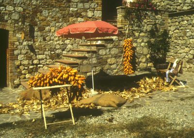 chi siamo, la storia di walden