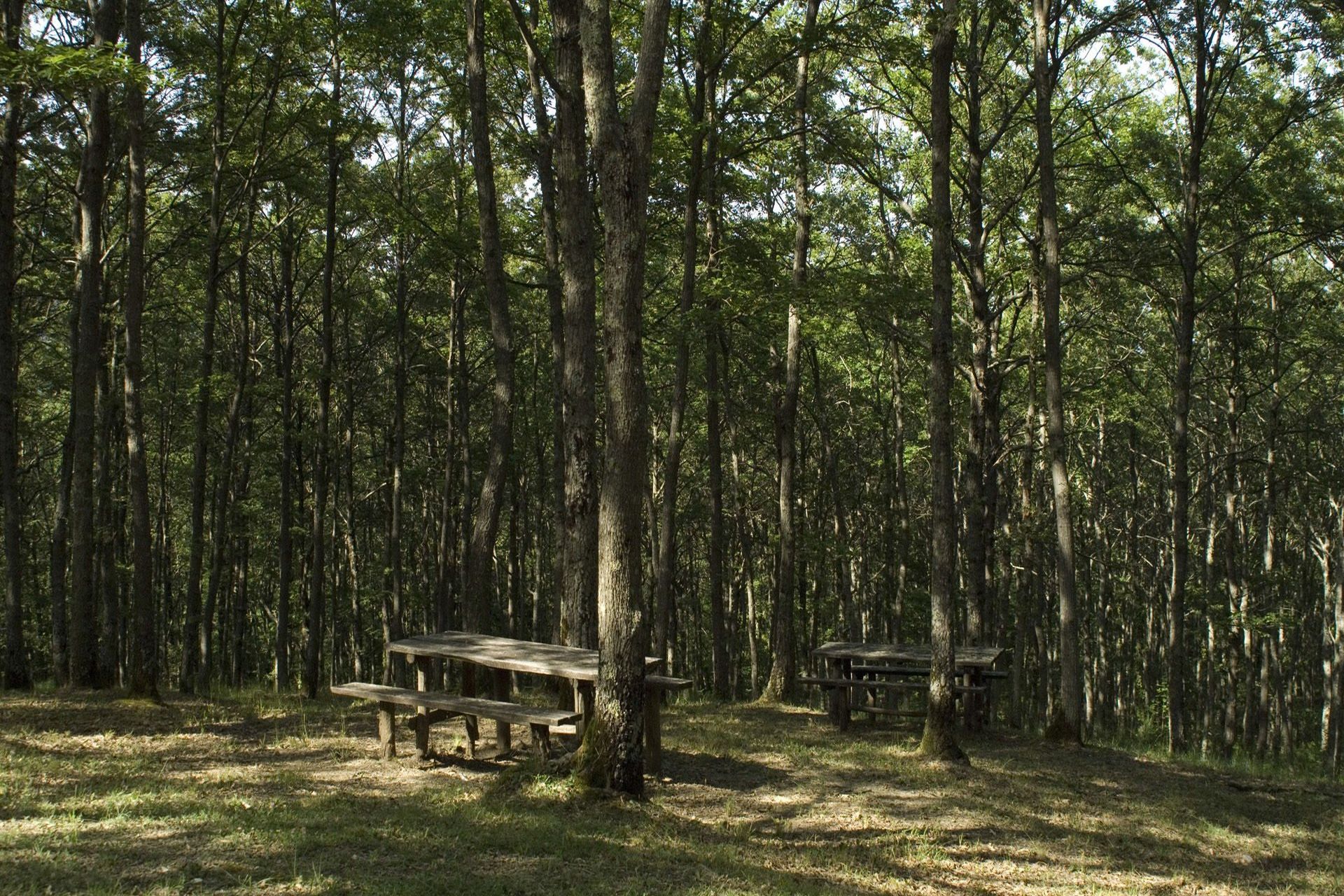 parco-di-villalba-