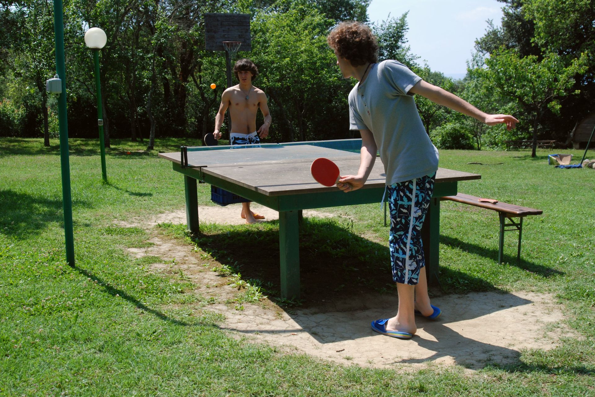 ping pong