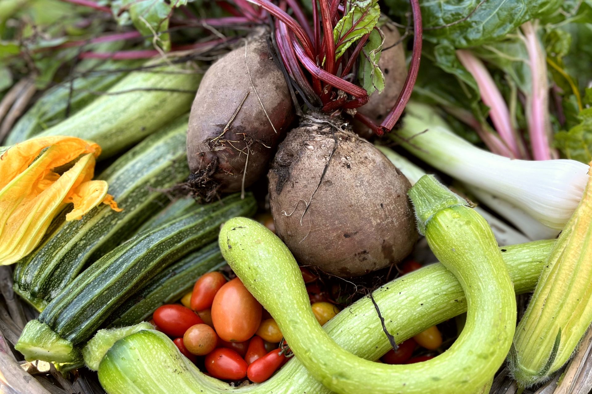 verdure della cucina di walden, prodotti a chilometro zero